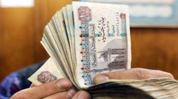 شوف معاشك كام! طريقة الاستعلام عن المعاش بالرقم القومي عبر الموقع الرسمي للتأمينات المصرية من وانت بمكانك